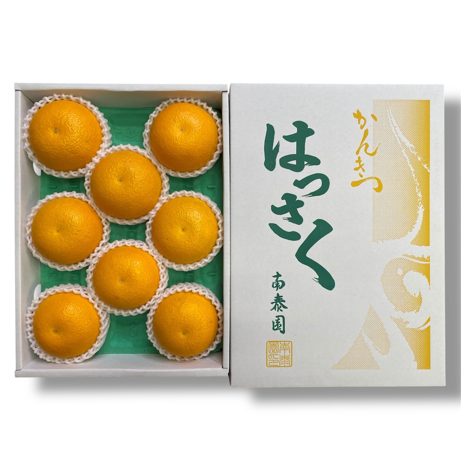 ≪農家直送≫木成完熟はっさく 特秀L×8玉/化粧箱