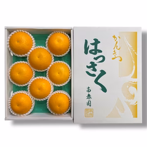 ≪農家直送≫木成完熟はっさく