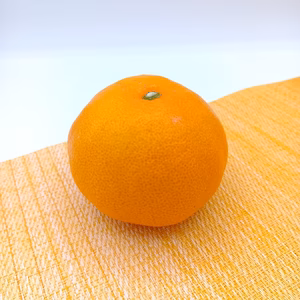 秋が旬！『早みかん』【ビッグサイズ】