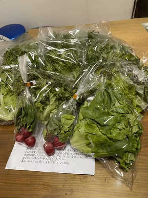 みんなの投稿の画像