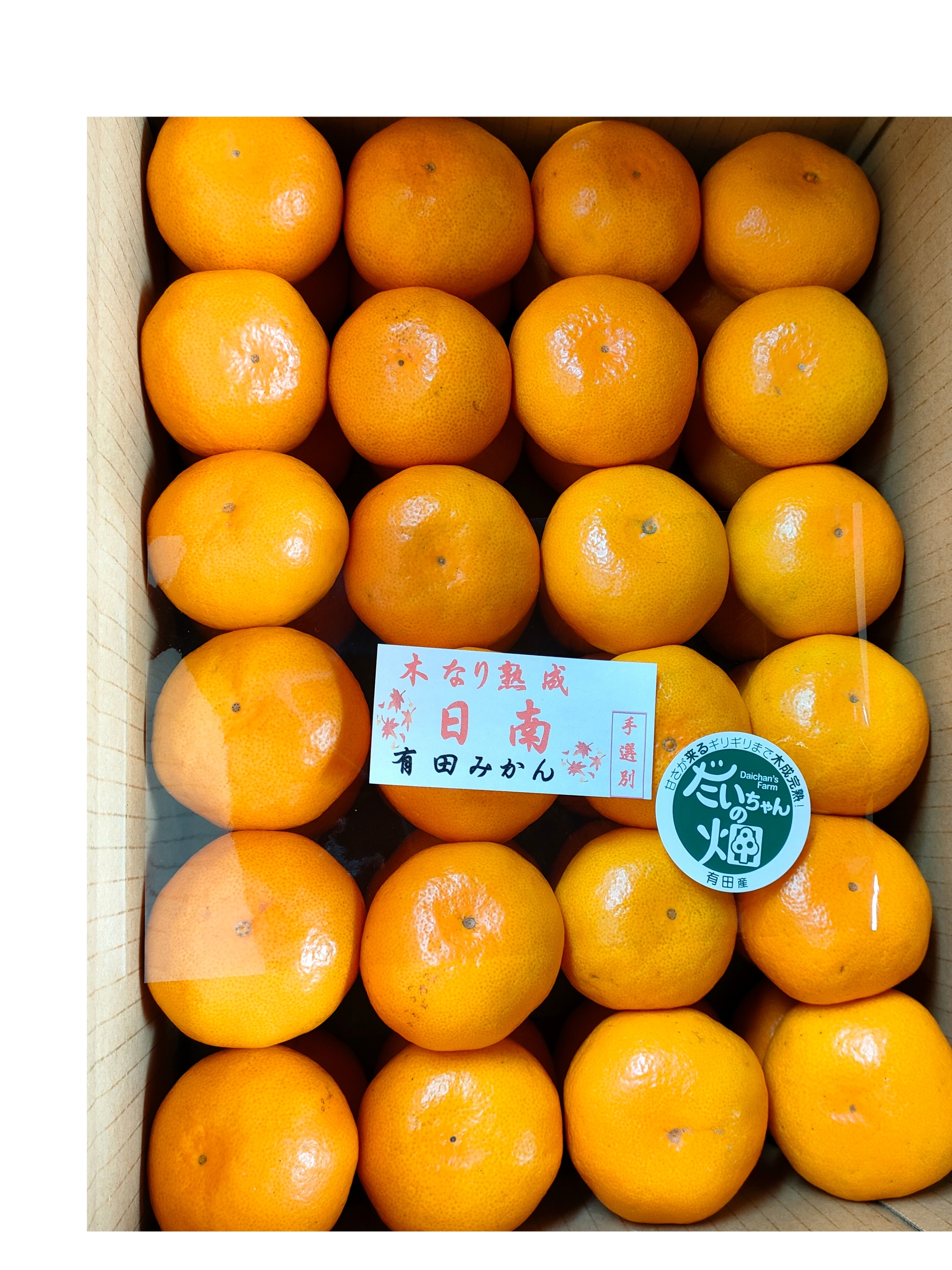 [数量限定]樹上熟成 有田みかん 夕やけみかん(Sサイズ・懐かしの甘さ) 家庭用4.8Kg(箱込+痛み保証)