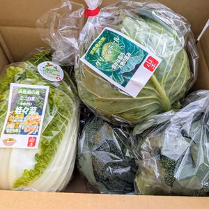 淡路島 おまかせ100サイズ野菜セット