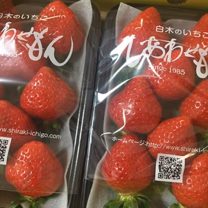 完熟・朝どり・即日発送！あまおう