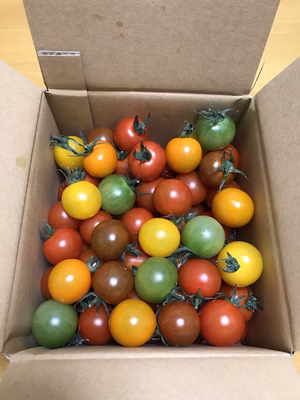 みんなの投稿の画像