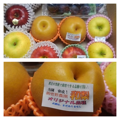 みんなの投稿の画像