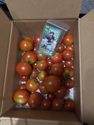 みんなの投稿の画像