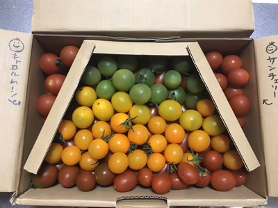 みんなの投稿の画像