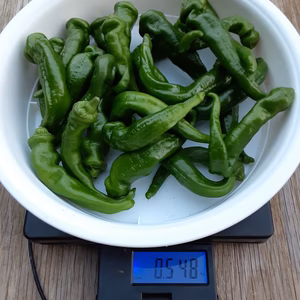 【規格外】B級野菜セット（万願寺とうがらし、きゅうり）