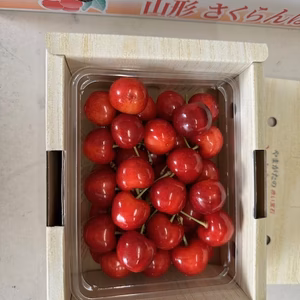 【再販】山形県寒河江市産さくらんぼ【紅秀峰】3L2L玉混合等級特秀品500㌘ｘ1