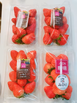 みんなの投稿の画像