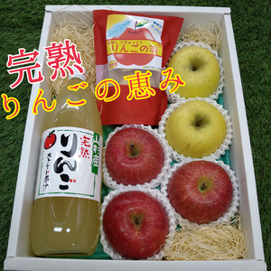 完熟りんごの恵み(ふじ*シナノゴールド)5玉 詰合せ