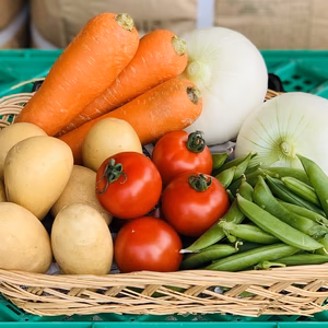 お試しBOX!採りたて野菜5品セット！