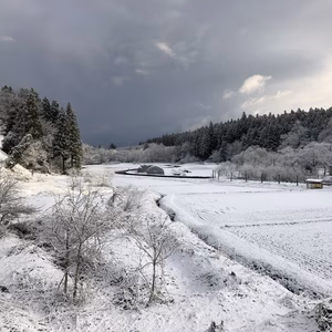 固定種の野菜セット【月１回定期クール便】