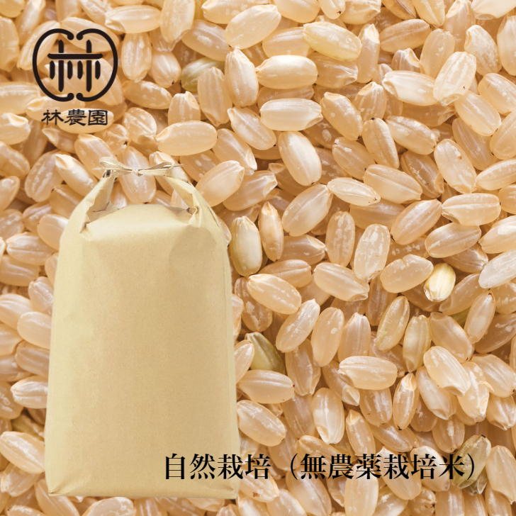 無農薬栽培・ヒノヒカリ玄米 5ｋｇ（令和5年10月収穫・未検査米）｜米