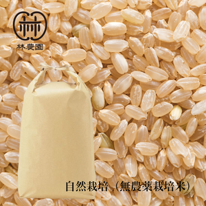無農薬栽培・ヒノヒカリ玄米　5ｋｇ（令和2年10月収穫・未検査米）