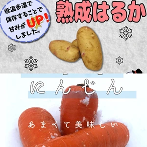 【セット】熟成ジャガイモ「はるか」(3kg)と雪下にんじん(1kg)