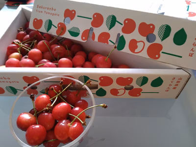 みんなの投稿の画像