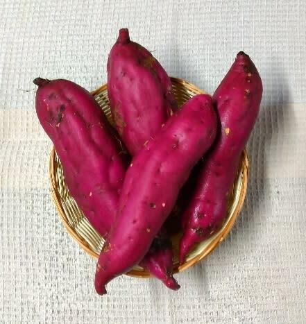 ｊａｓ認証 有機栽培のサツマイモ 紅あずま 3ｋｇ 6 7本 農家漁師から産地直送の通販 ポケットマルシェ