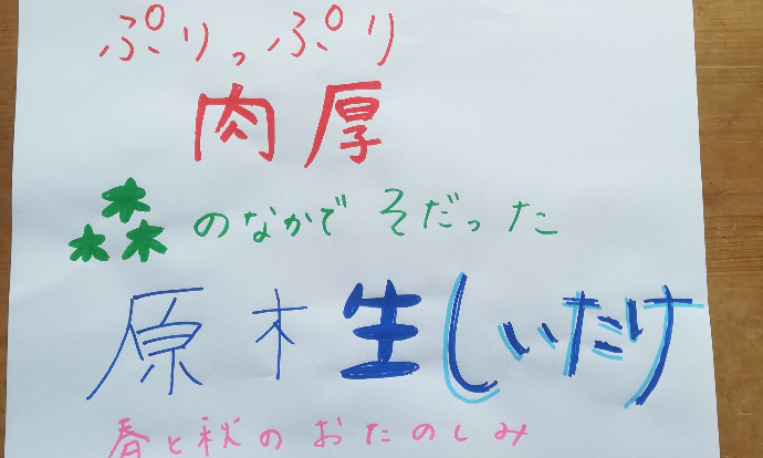 倉庫 ぷりっぷり肉厚 弾力ある歯ごたえ 上品な香り が特徴 干し椎茸 岐阜郡上明宝産こだわりの原木栽培しいたけご進物用L箱 160g