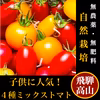 自然栽培４種ミックスミニトマト8〜10月限定【子供に人気】【飛騨高山産】