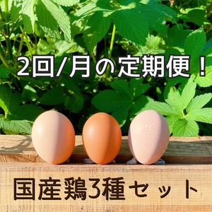 やっぱり国産鶏！【名古屋コーチン&もみじ&さくら】3種セット36個入り‼︎