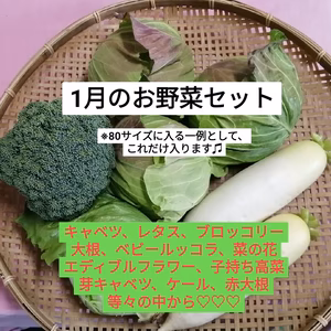 1月のお野菜セット　淡路島よりAwajicHorrorGarden