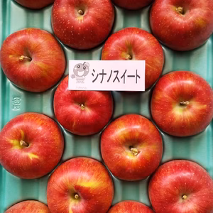 長野県産  シナノスイート   5キロ箱