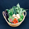 7月のオーガニック野菜セット