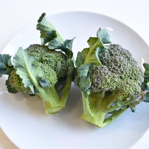 和らぎ農法　ブロッコリー