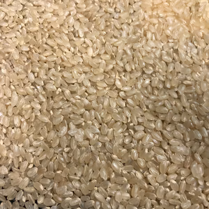 ゆうだい21令和6年産 玄米１０ｋｇ