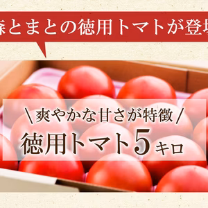 さわやかな甘味が特徴の徳用トマト5kg　宮崎県産