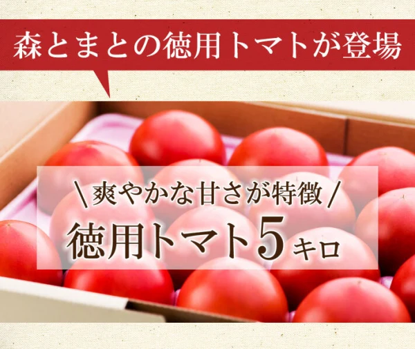 さわやかな甘味が特徴の徳用トマト5kg　宮崎県産