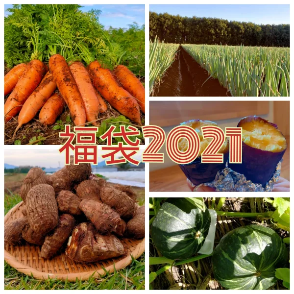 【福袋2021】オーガニック野菜5品目