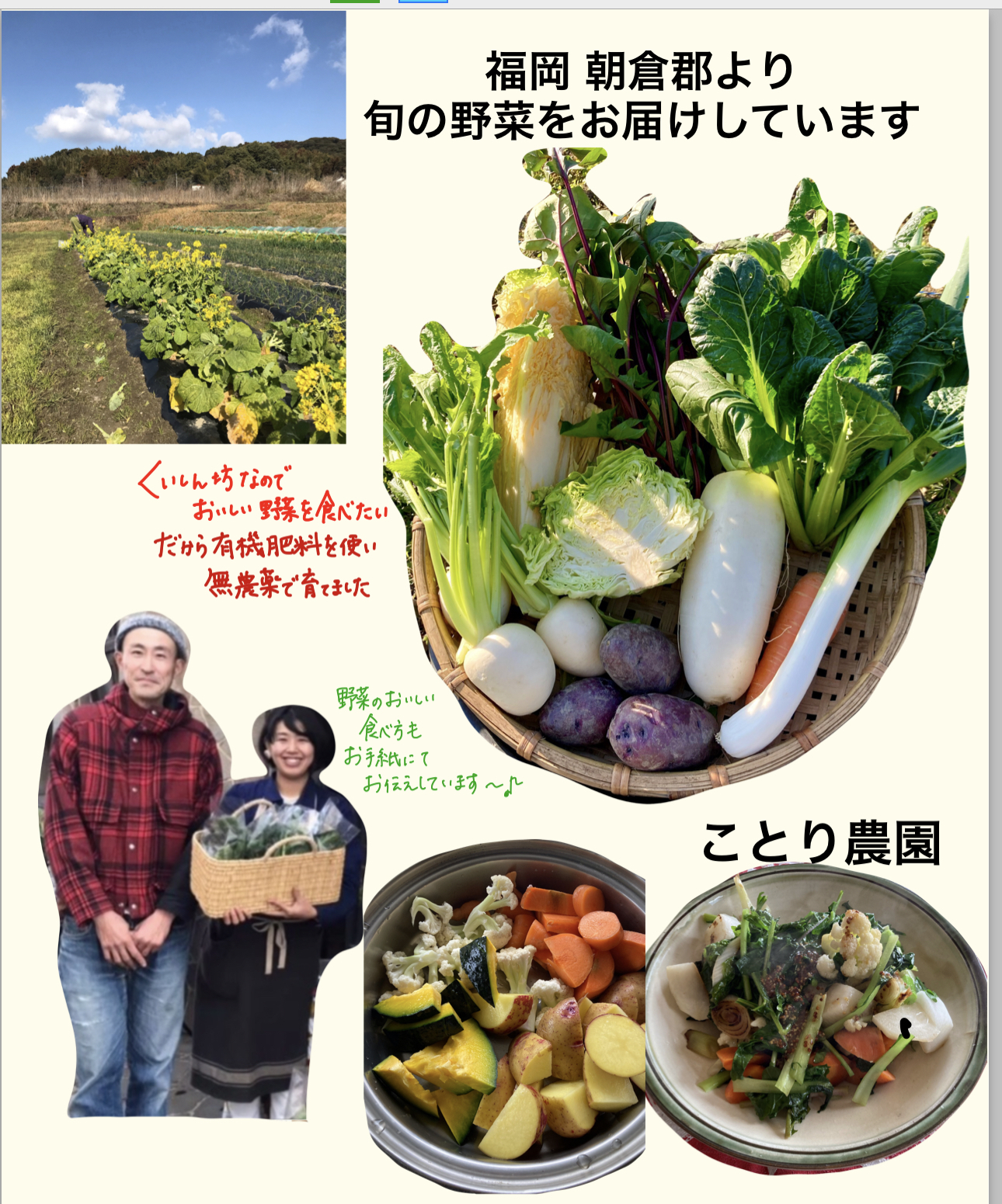 季節の無農薬野菜セット(福岡より)｜野菜セットの商品詳細｜ポケット