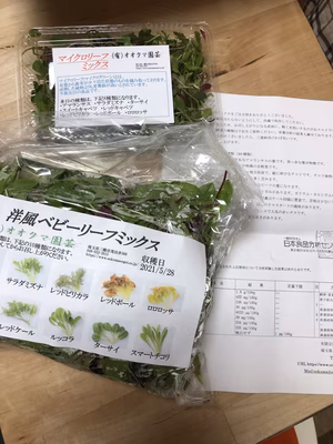 みんなの投稿の画像