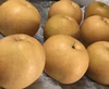 新高梨 ご家庭用の梨　5玉～7玉　5キロ箱