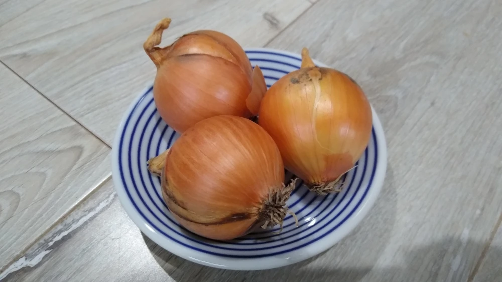 北海道富良野産ペコロス　3Sサイズ　500g（25個前後）玉ねぎ