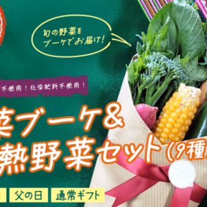 野菜ブーケ ＆ 情熱野菜 セット9品 【 母の日 父の日 選べる 贈答用 】