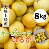 【有機JAS認証】オーガニックはるか　8キロ　果汁溢れるジューシーな太陽の果実