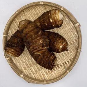 さといも 「善光寺」