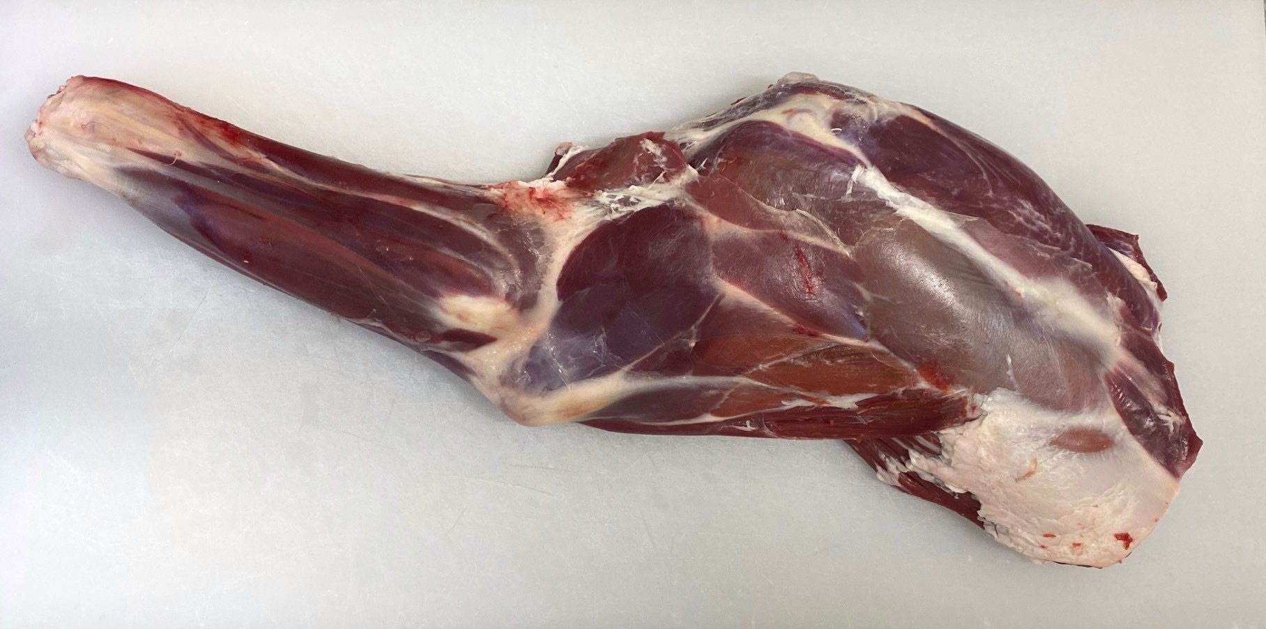 遠野鹿肉[熟成]カタ1本 1.5kg カタ1本 1.5kg