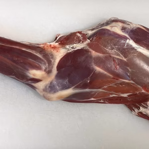 遠野鹿肉【熟成】カタ1本　1.5kg
