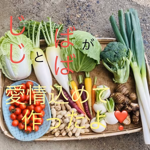 じじとばばの愛情いっぱい♡季節の新鮮野菜詰め合わせセット
