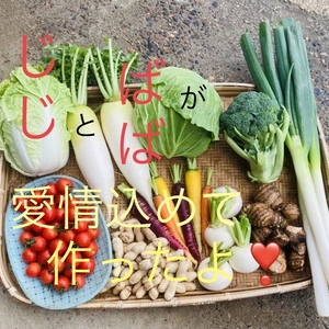 じじとばばの愛情いっぱい♡季節の新鮮野菜5品詰め合わせ〜おまけ付き〜