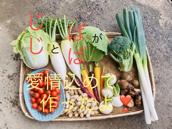 じじとばばの愛情いっぱい♡季節の新鮮野菜詰め合わせセット
