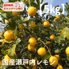 【5㎏／M.Lサイズ】「瀬戸内産国産レモン」