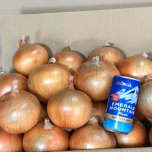 948円引き最初で最後の大特価SALE  淡路島たまねぎ10Kg