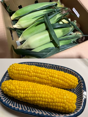 みんなの投稿の画像