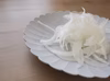 サラダ新玉ねぎ「旬玉®︎」生がおいしい！ブランド玉ねぎ
