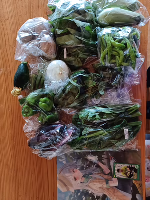 みんなの投稿の画像